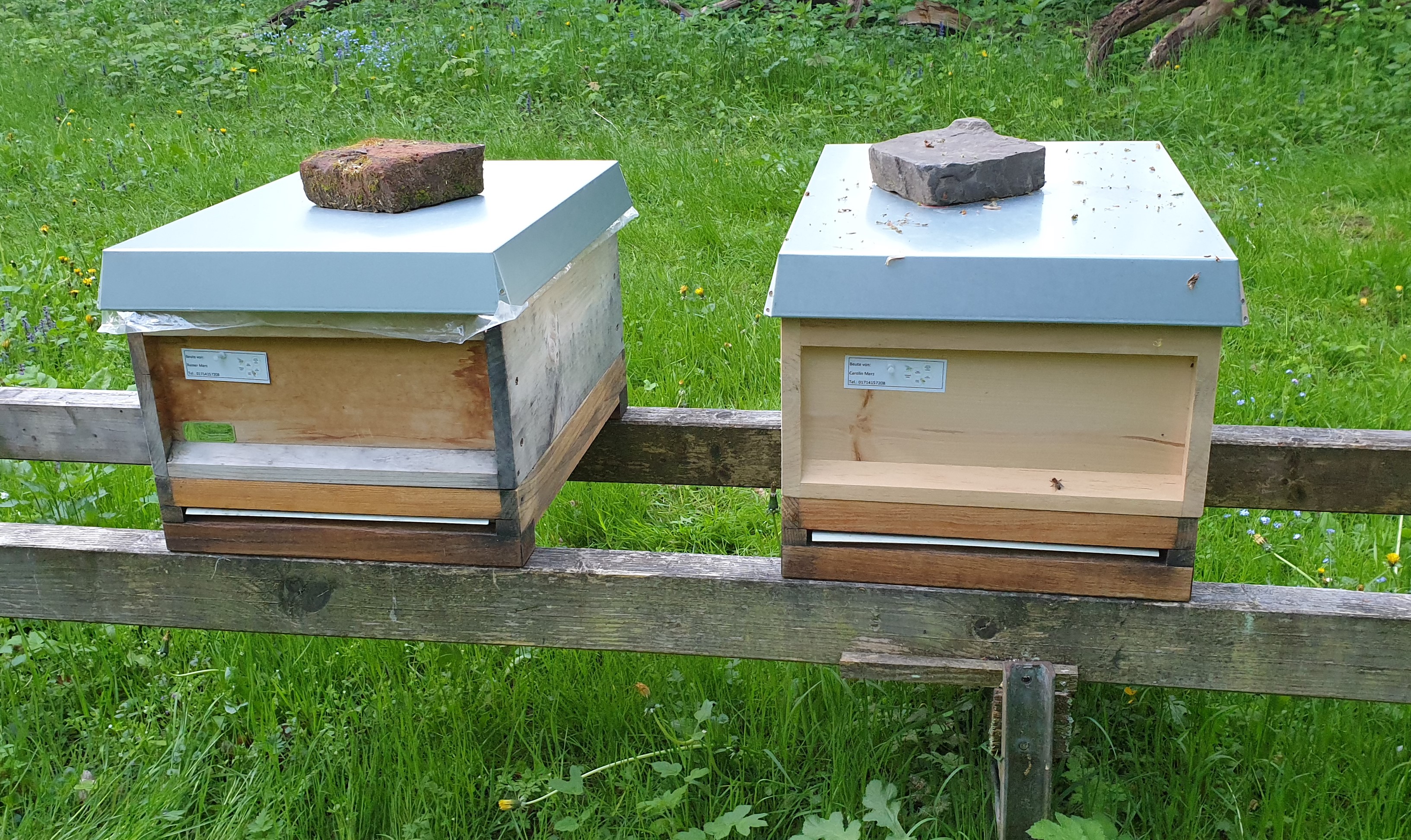 imkerhonig merz - Bienenstände